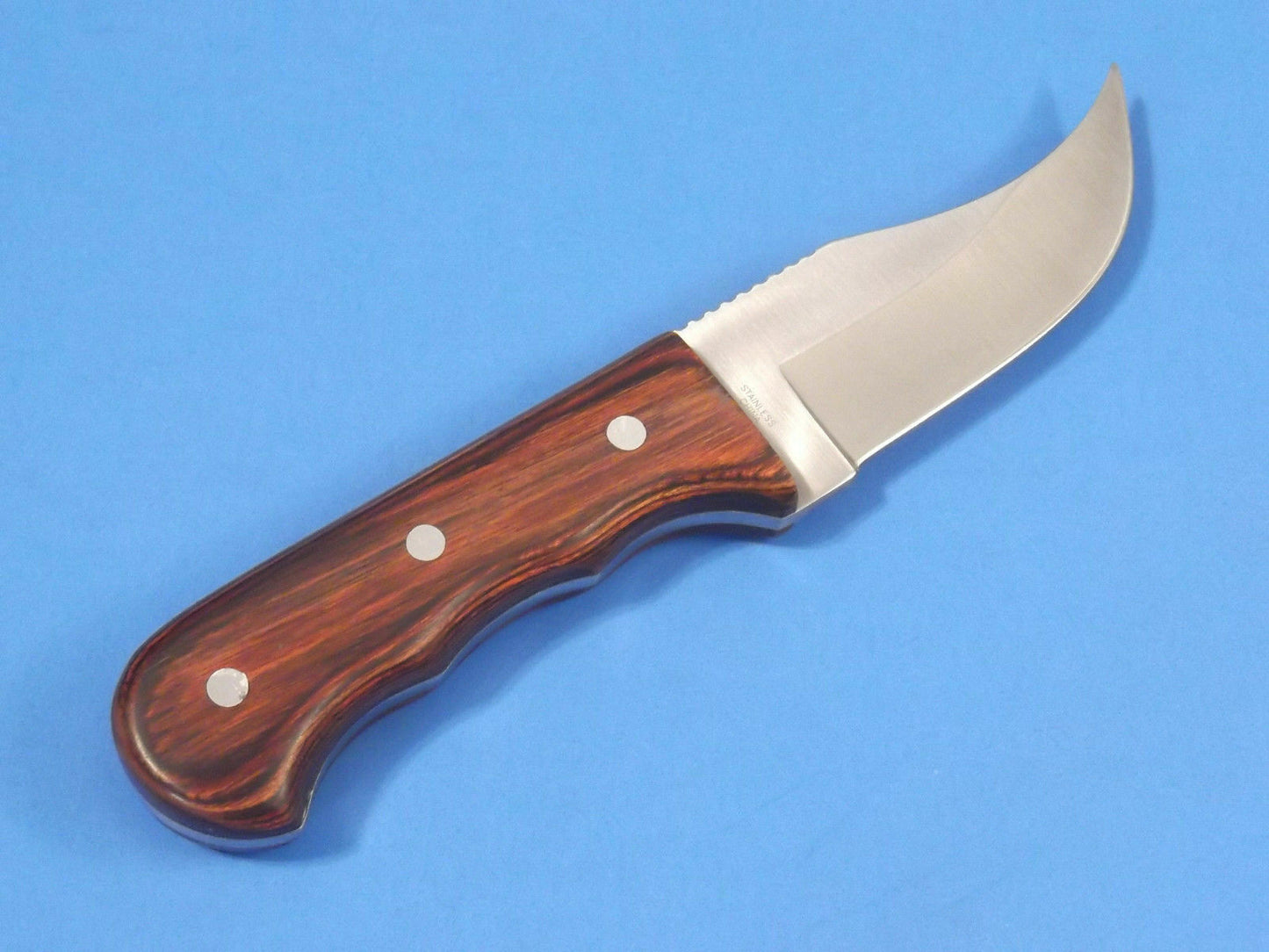 6.25" Short Skinner Knife with 440 Stainless Steel Blade, Pakkawood Handle & Nylon Sheath – Full Tang Hunting & Camping Knife