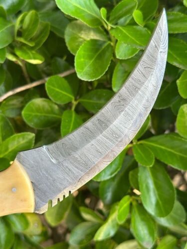 10" Handmade Karambit Knife Damascus Steel Karambit with Camel Bone Handle