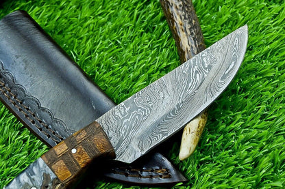 8.0" Damascus Bowie Knife – Resin & Natural Wood Handle | Full Tang