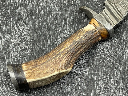 Heritage Forge 8 Inch Damascus Steel Hunting Bowie Knife with Stag Horn and Hardwood Handle