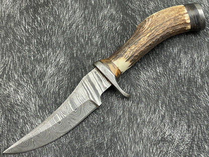 Heritage Forge 8 Inch Damascus Steel Hunting Bowie Knife with Stag Horn and Hardwood Handle