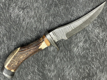 Heritage Forge 8 Inch Damascus Steel Hunting Bowie Knife with Stag Horn and Hardwood Handle