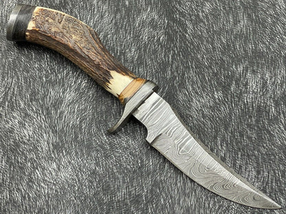 Heritage Forge 8 Inch Damascus Steel Hunting Bowie Knife with Stag Horn and Hardwood Handle