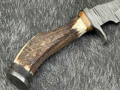 Heritage Forge 8 Inch Damascus Steel Hunting Bowie Knife with Stag Horn and Hardwood Handle