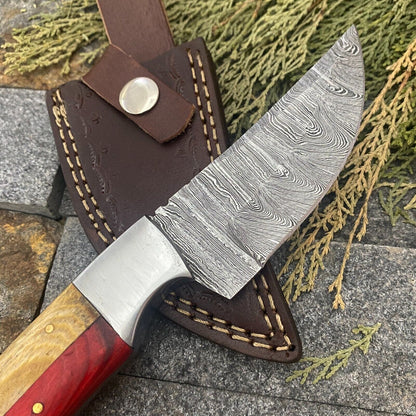 8" Damascus Steel EDC Bowie Knife – Ram Horn & Wood Handle | Handmade with Leather Sheath