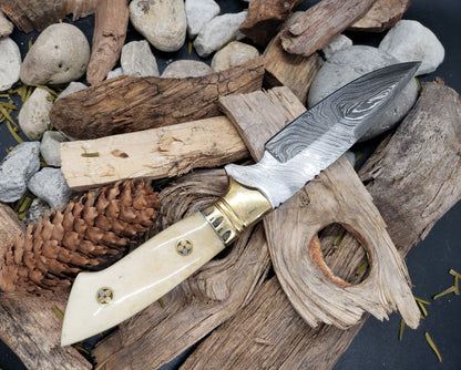 9” Damascus EDC Bowie Knife – Bone Handle with Brass Bolster