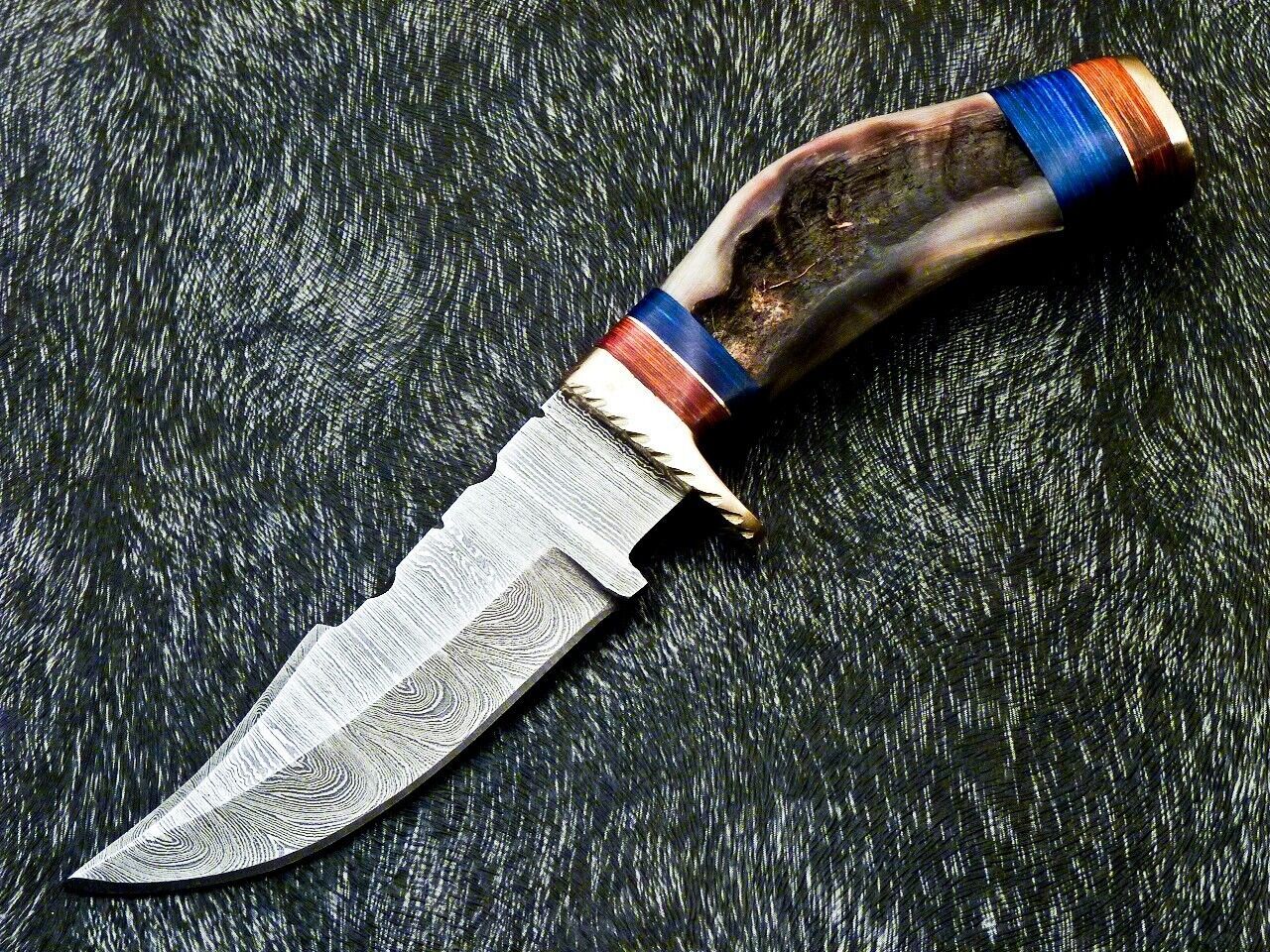 Heritage Forge 8 Inch Damascus Steel Bowie Camping Hunting Knife with Ram Horn and Hardwood Handle