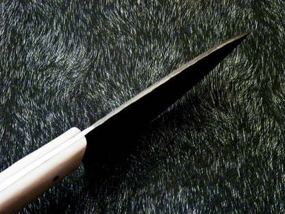 10" Custom Hand Forged Damascus Steel Chef Knife | Camel Bone Handle & Brass Pins