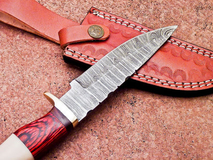 Damascus Steel Bowie Hunting Knife with Camel Bone and Hardwood Handle