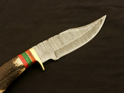 9.25" Damascus Bowie Knife with Stag & Pakka Wood Handle – Full Tang Blade