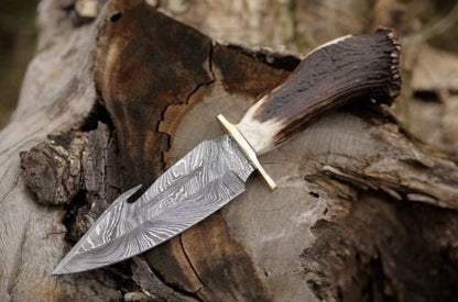 10 Inch Custom Forged Damascus Gut Hook Hunting Knife with Deer Crown Stag Handle