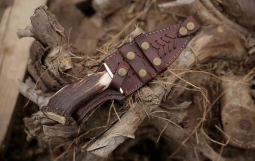 10 Inch Custom Forged Damascus Gut Hook Hunting Knife with Deer Crown Stag Handle