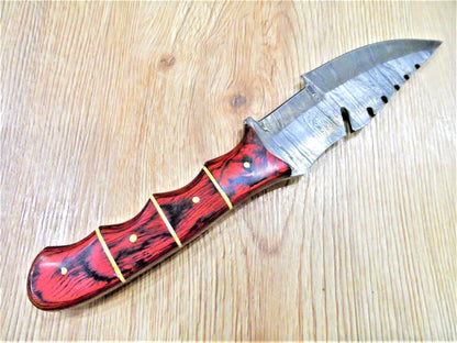 Handmade Damascus Bowie Knife | 10" Camping & Hunting Fixed Blade with Pakka Wood Handle