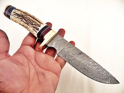 10.25" Custom Damascus Bowie Knife with Stag Horn & Brass Pommel