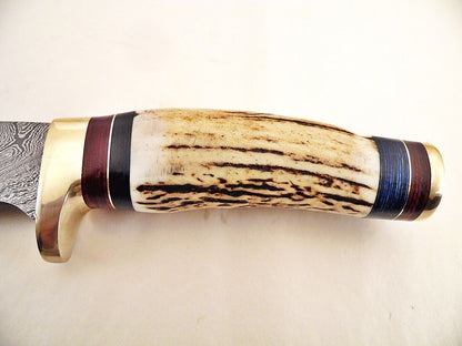 10.25" Custom Damascus Bowie Knife with Stag Horn & Brass Pommel