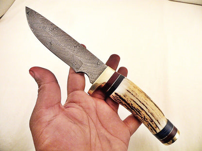 10.25" Custom Damascus Bowie Knife with Stag Horn & Brass Pommel