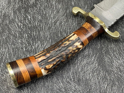 10" Hand Forged Damascus Hunting Knife – Stag Horn & Wood Handle