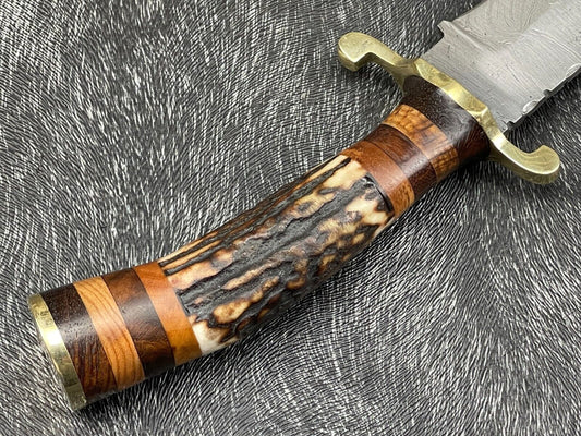 10" Hand Forged Damascus Hunting Knife – Stag Horn & Wood Handle