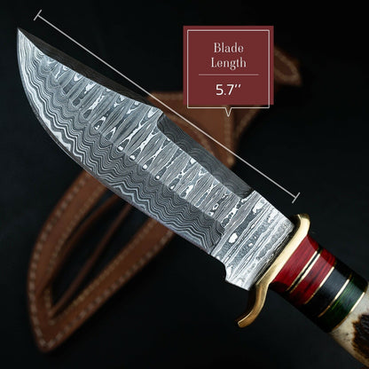 10 Inch Handmade Damascus Steel Hunting Knife with Stag Horn Handle