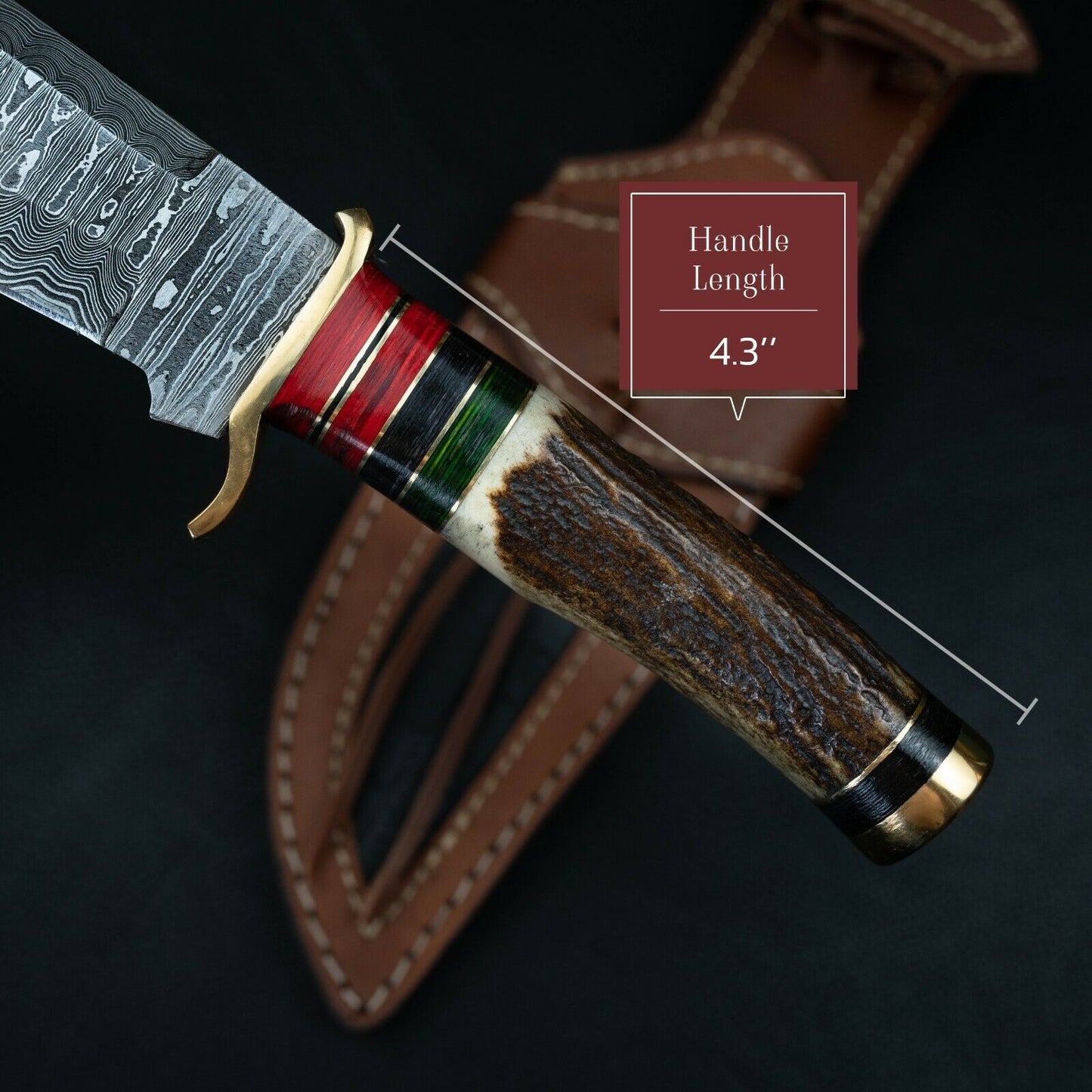 10 Inch Handmade Damascus Steel Hunting Knife with Stag Horn Handle