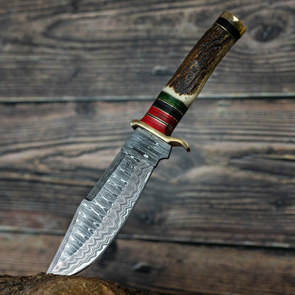10 Inch Handmade Damascus Steel Hunting Knife with Stag Horn Handle