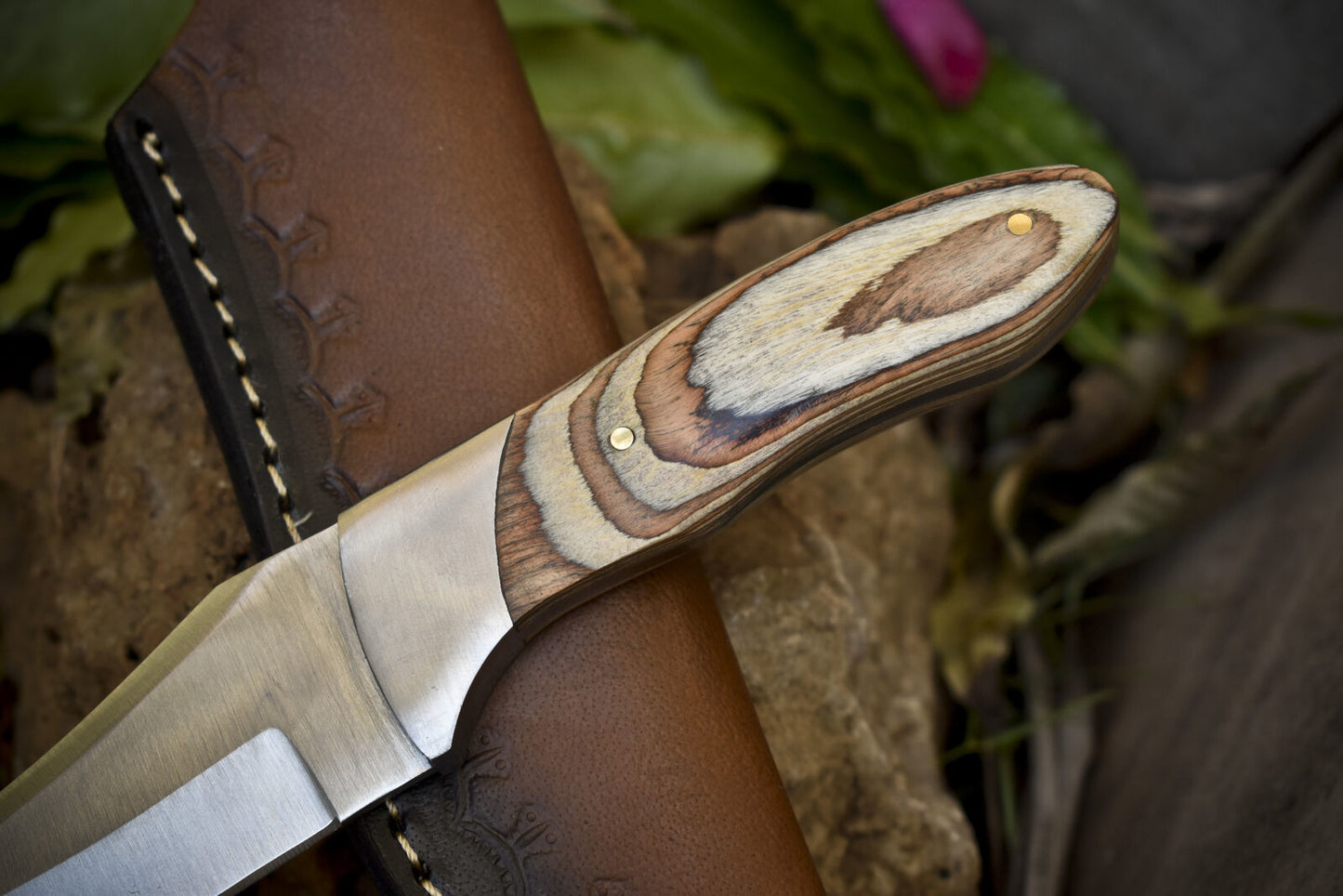 Skinner Knife – ATS-34 Steel, Olive Wood Handle, Decorative Blade