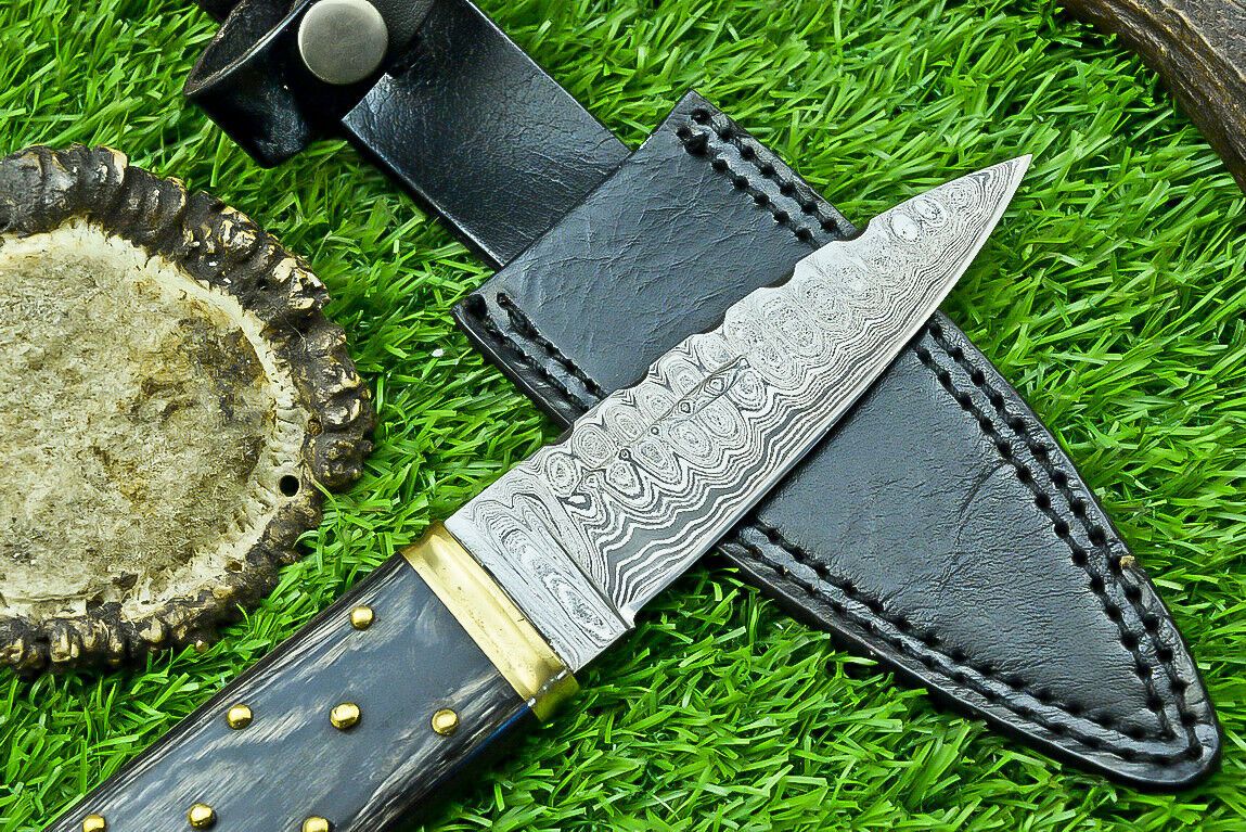 Heritage Forge 9 Inch Custom Damascus Steel Bowie Knife with Wood Handle and Brass Bolster