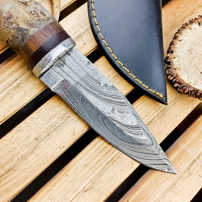 8.5" Hand Forged Damascus Bowie Knife | Ram Horn Handle