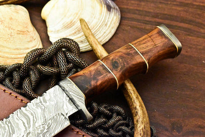 12.5" Damascus Hunting Bowie Knife – Walnut Wood Handle