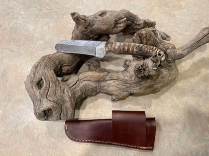 8"Handmade Damascus Steel Bull Cutter Knife Cowboy Bull Cutter Knife with Rams Horn Handle