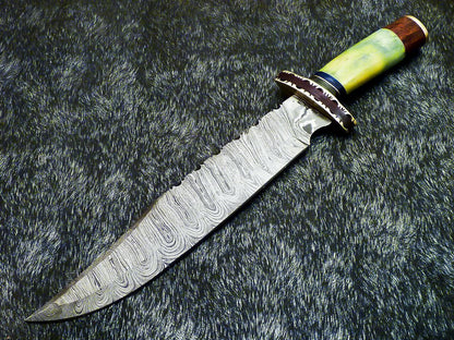 Authentic Hand Forged Damascus Bowie Hunting Knife | Stained Camel Bone Handle