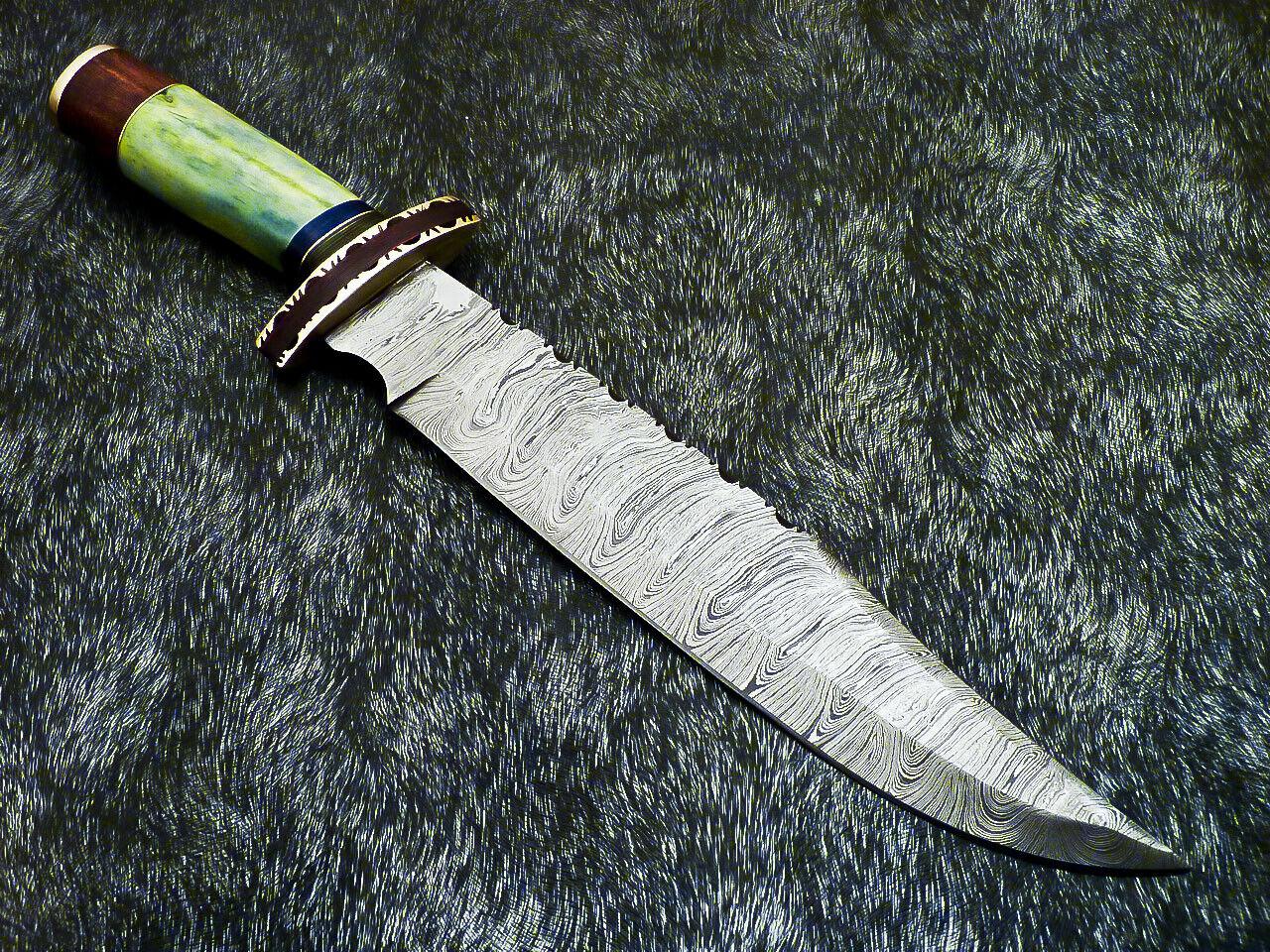 Authentic Hand Forged Damascus Bowie Hunting Knife | Stained Camel Bone Handle
