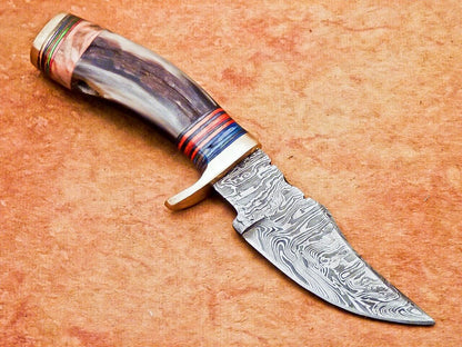 6" Damascus Bowie Knife – Ram Horn & Hardwood Handle