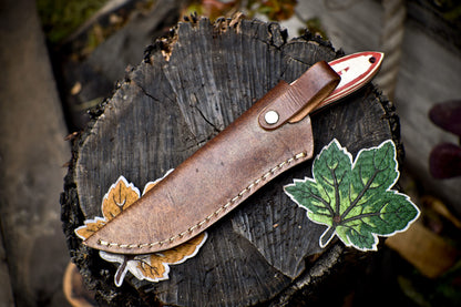 Twist Damascus Skinner Knife Bone and Wood Handle Micarta Bolster Sports Blade