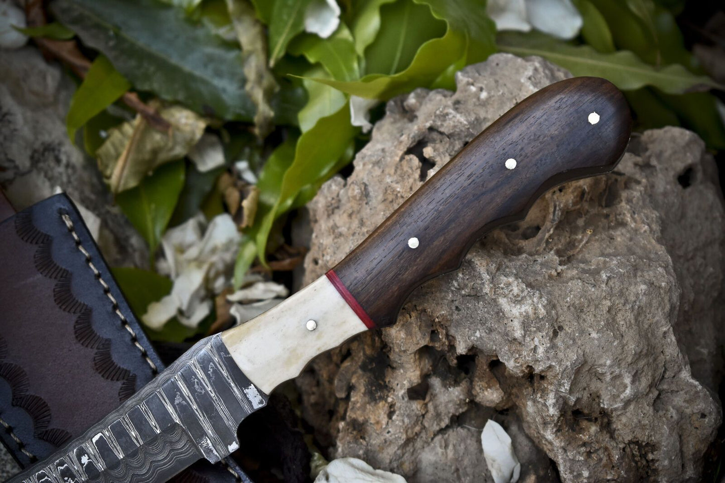 Hot Item Hunting Skinner Knife Ladder Damascus Walnut Wood Outdoor