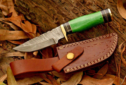 8 Inch Damascus Steel Bowie Knife with Resin Handle and Brass Guard