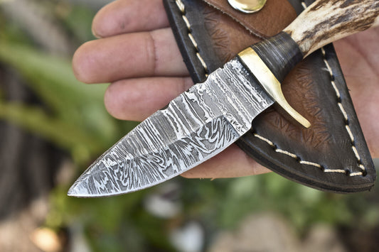 Hand Forged Twist Damascus Skinner Knife Stag Antler Handle with Brass Guard and Leather Sheath