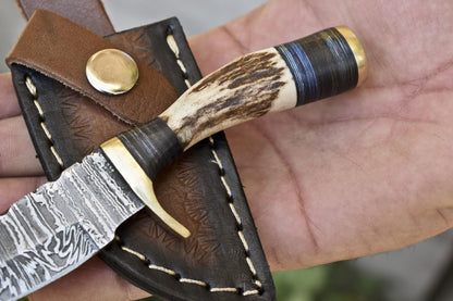 Hand Forged Twist Damascus Skinner Knife Stag Antler Handle with Brass Guard and Leather Sheath