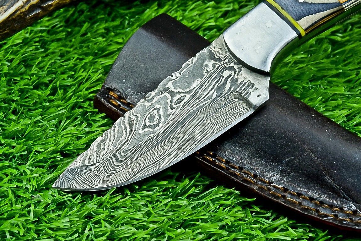 8" Custom Damascus Steel Bowie Knife – Hardwood Handle & Filework Spine