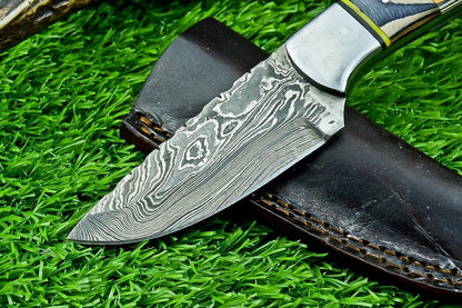 8" Custom Damascus Steel Bowie Knife – Hardwood Handle & Filework Spine