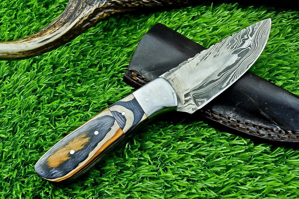 8" Custom Damascus Steel Bowie Knife – Hardwood Handle & Filework Spine