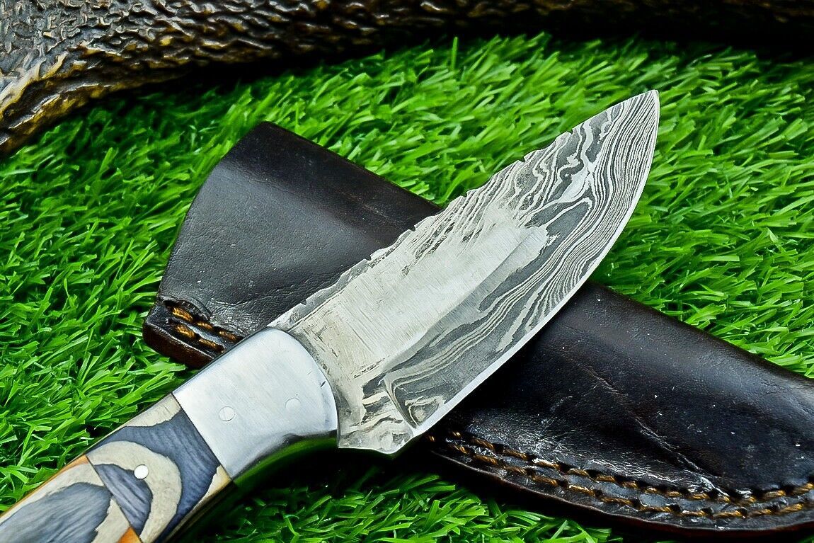 8" Custom Damascus Steel Bowie Knife – Hardwood Handle & Filework Spine