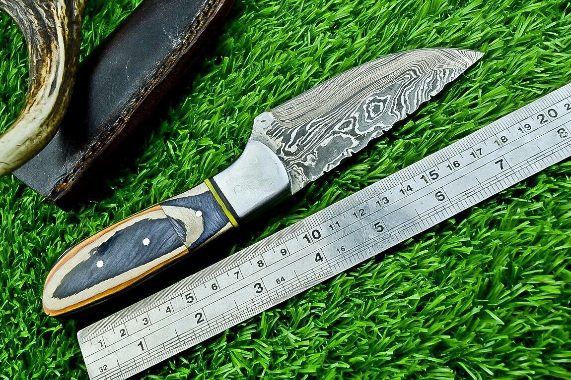 8" Custom Damascus Steel Bowie Knife – Hardwood Handle & Filework Spine