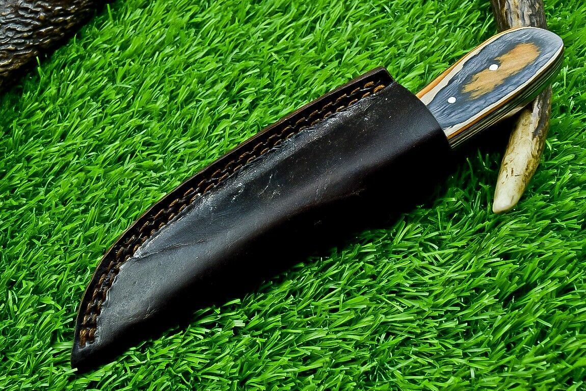 8" Custom Damascus Steel Bowie Knife – Hardwood Handle & Filework Spine