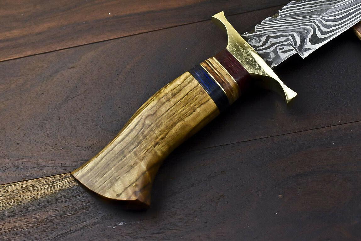 14.5" Damascus Bowie Knife | Walnut Wood Trailing Point
