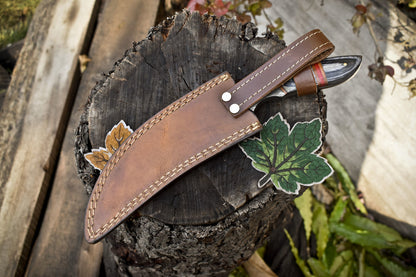 11 in Custom Twist Damascus Skinner Knife with Hardwood Handle and Wooden Bolster
