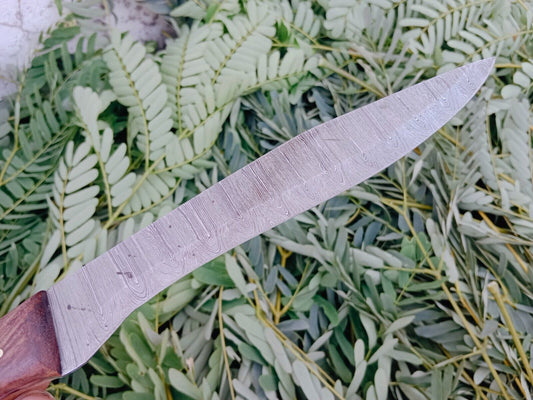 Custom Handmade Damascus Fillet Knife Wood Handle W/Leather Sheath
