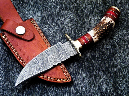 8" Damascus Bowie Knife – Stag Horn Handle & Brass Bolster