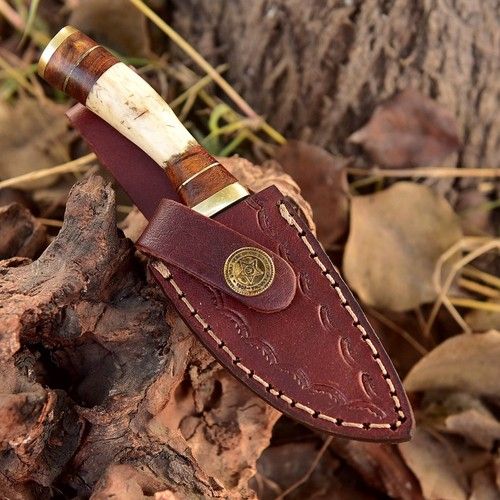 Handmade Damascus Skinner Knife Stag Antler Handle Brass Guard Custom Fixed Blade Hunting Knife