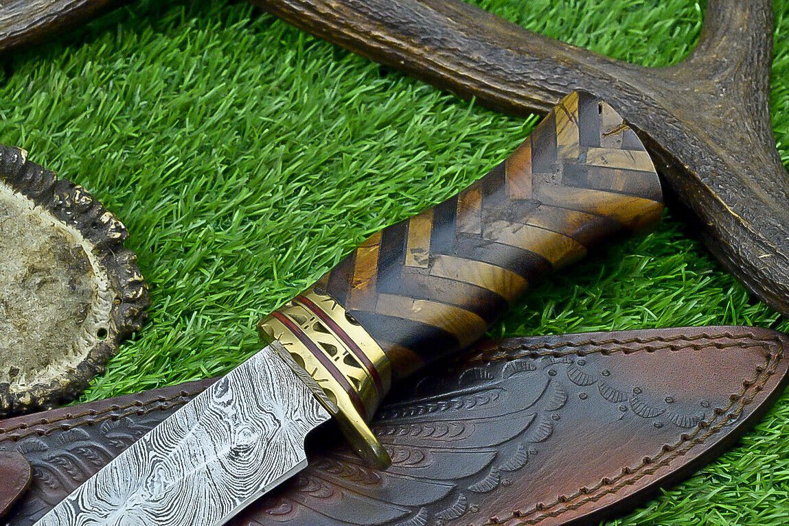 Hand Forged Damascus Bowie Knife with Natural Wood Handle and Brass Bolster 14.5 Inches
